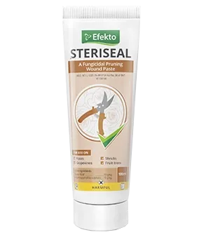 Steriseal 100ml