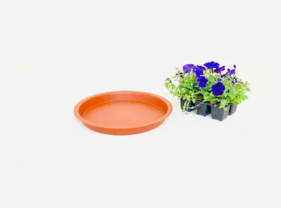 35cm Saucer Terracotta Width 35cm