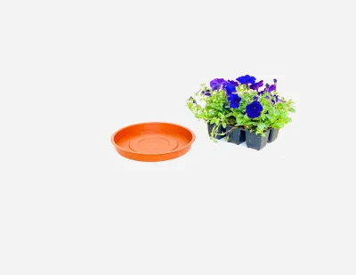 25cm Saucer Terracotta Width 25cm