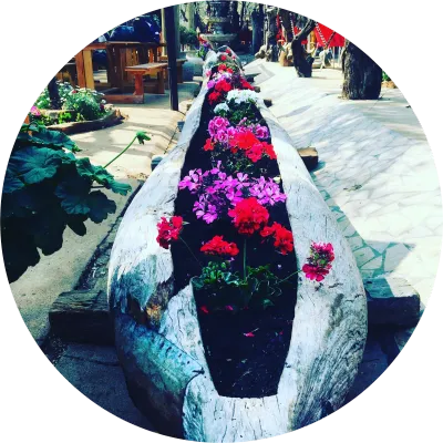 NEW Seasonal Arrivals!