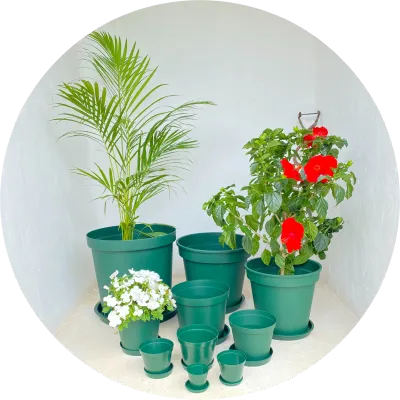 Plastic Plant Pots Green