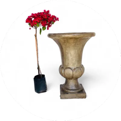 Painted Pots Gallery