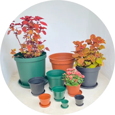 Plastic Planting Pots and Bags