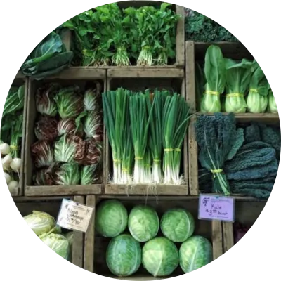 Vegetables, Herbs &amp; Spices