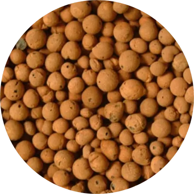 Expanded Clay Pebbles Hydroponic