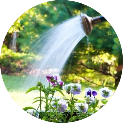 Garden Watering