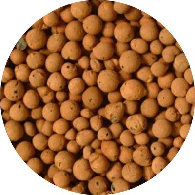 Expanded Clay Pebbles Hydroponic