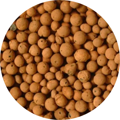 Expanded Clay Pebbles Hydroponic