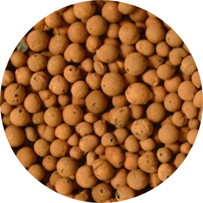 Expanded Clay Pebbles Hydroponic