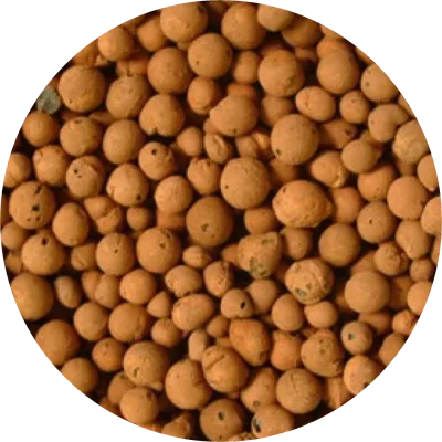 Expanded Clay Pebbles Hydroponic