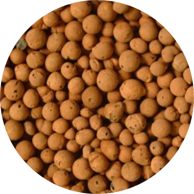 Expanded Clay Pebbles Hydroponic
