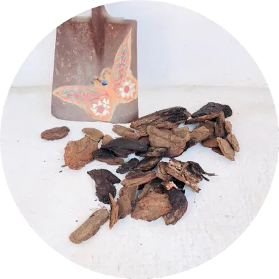 Bark Chips, Mulch, Nutshells, Clivia, Succulent and Orchid Mix