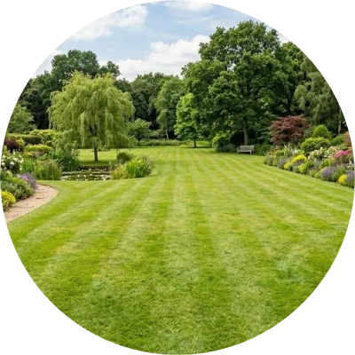 Lawn Care &amp; Treatment