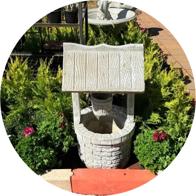 Wishing Well