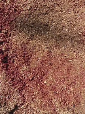 BULK Compost 50kg Size Bag