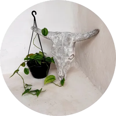 Plaques &amp; Wall Décor