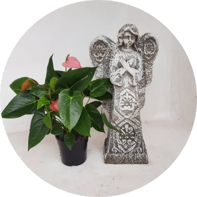 Figurine Statues