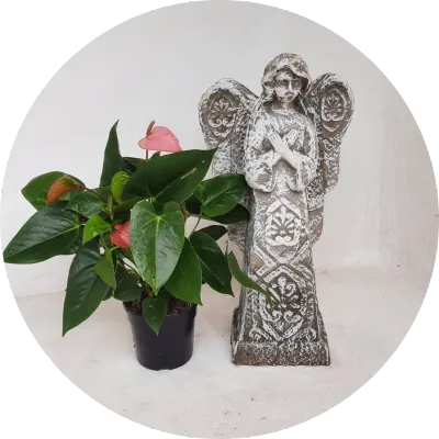 Figurine Statues