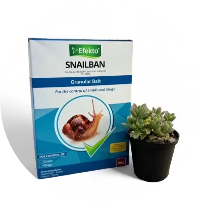 Insecticides