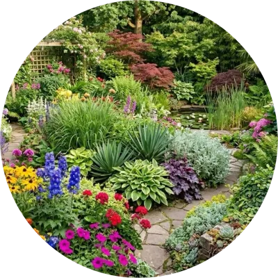 Plants