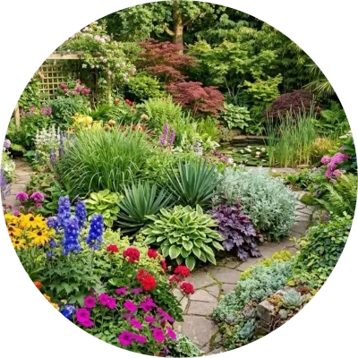 Plants