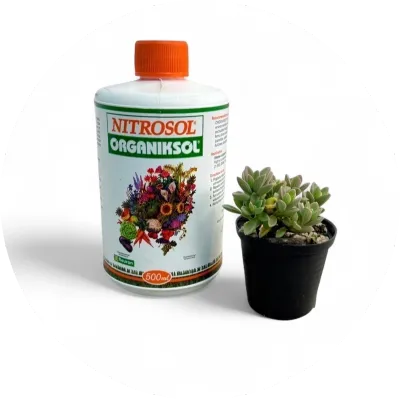 Plant Food