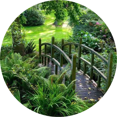 Wooden Bridges