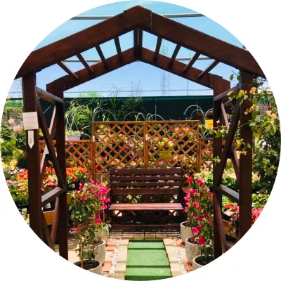 Wooden Arches