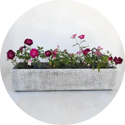 Rectangular Pots