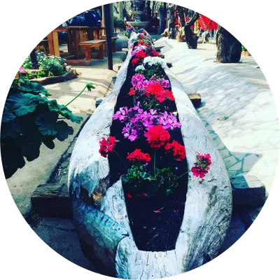 NEW Seasonal Arrivals!