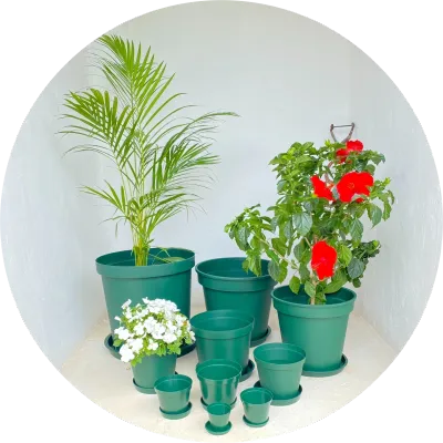 Plastic Plant Pots Green