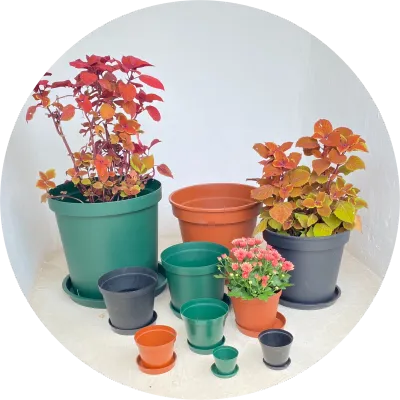 Plastic Planting Pots and Bags