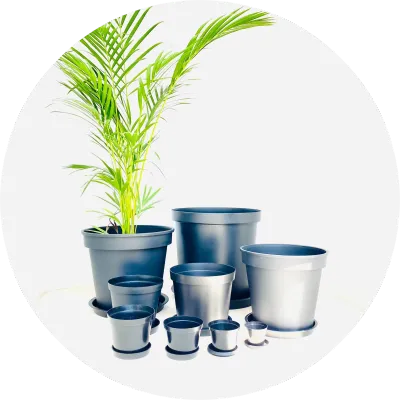 Plastic Plant Pots Black