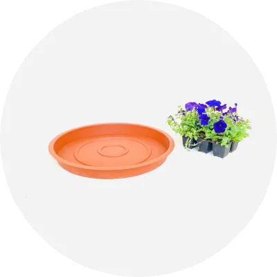 Plastic Plant Pot Saucers Terracotta