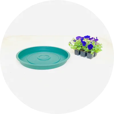 Plastic Plant Pot Saucers Green