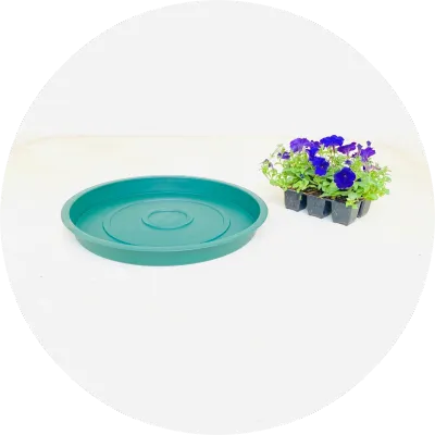 Plastic Plant Pot Saucers Green