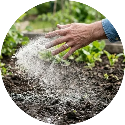 Growing &amp; Caring for your Plants and Lawn