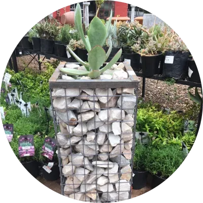 Raw Steel Wire Mesh Rock Planter