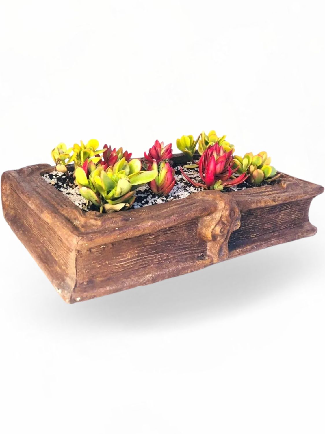 Daisy Book Planter Honeyclay Finish - L510mm x H60mm x W350mm - 12kg