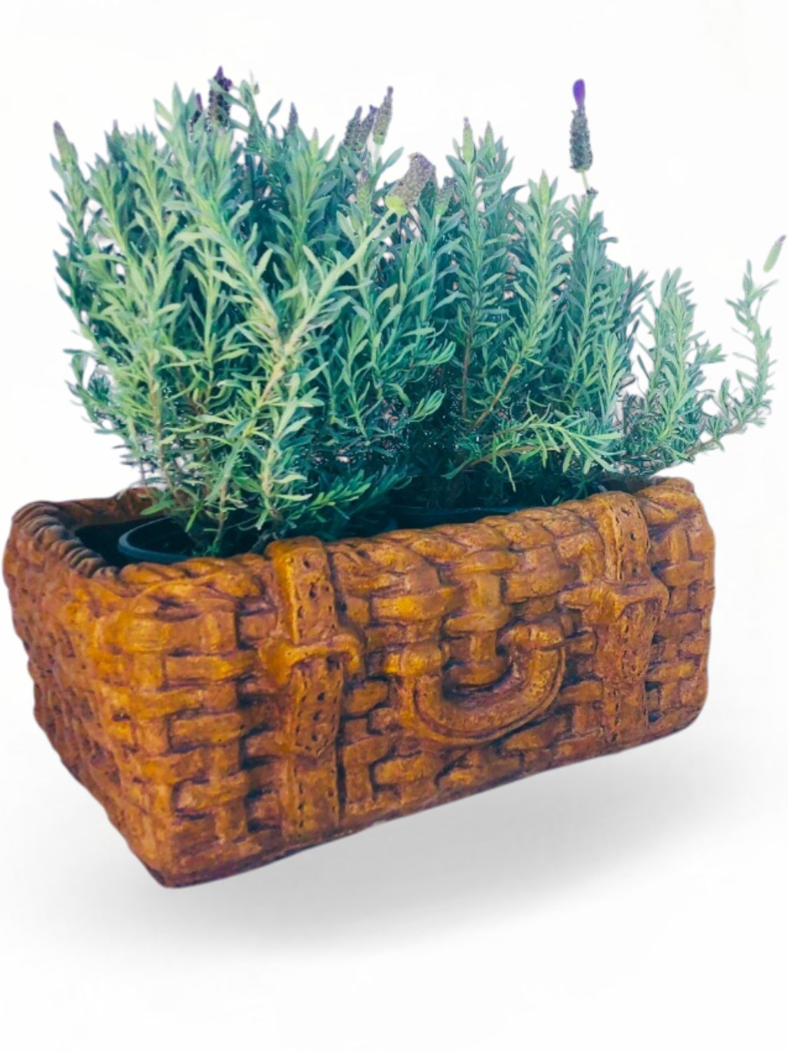 Picnic Basket Small Honeyclay Finish - L430mm x W300mm x H160mm - 12kg