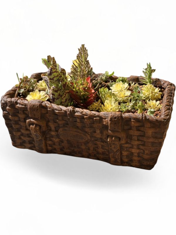 Picnic Basket Medium Honeyclay Finish - L490mm x W390mm x H160mm - 15kg