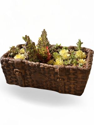 Picnic Basket Large Honeyclay Finish - L620mm x W390mm x H220mm - 23kg