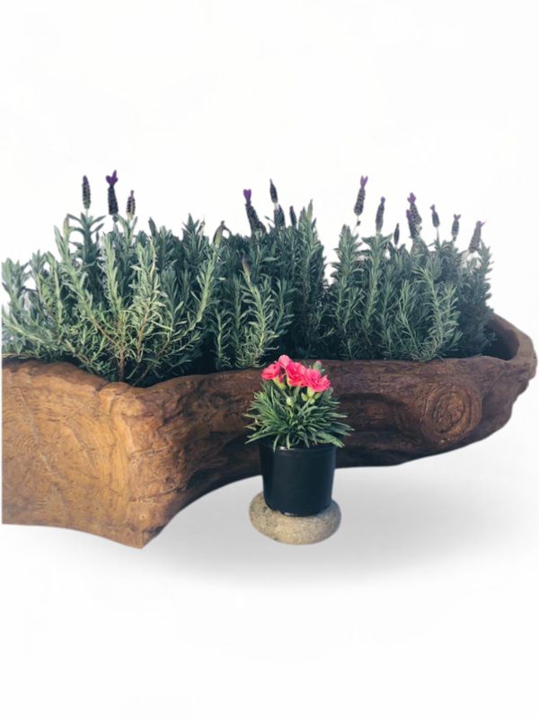 S Shape Log Planter Honeyclay Finish - L1160mm x W520mm x H400mm - 30kg
