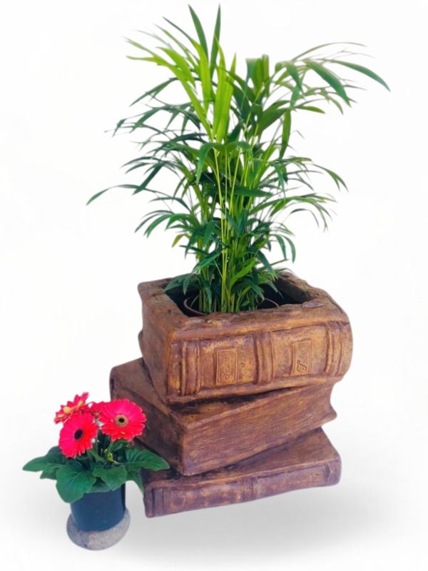 Three Book Planter Honeyclay Finish - H450mm x W420mm -  37kg