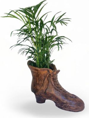 Shoe Planter Honey Clay Finish - L560mm x H350mm x W310mm - 17kg