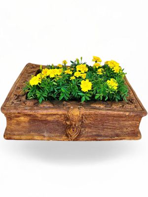 Lock Suitcase Planter Honeyclay Finish - L610mm x W570mm x H120mm - 20kg Lock Suitcase Planter Honeyclay Finish - L610mm x W570mm x H120mm - 20kg