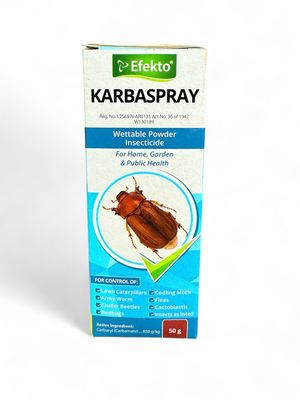 Efekto Karbaspray - 50g