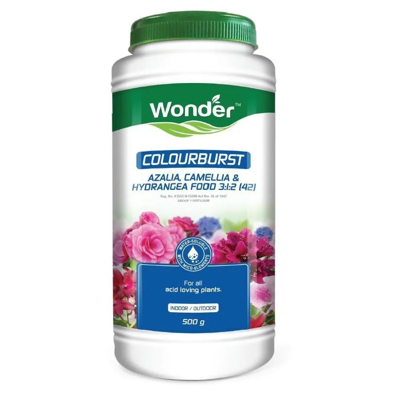 Efekto Colourburst Azalea - 500g
