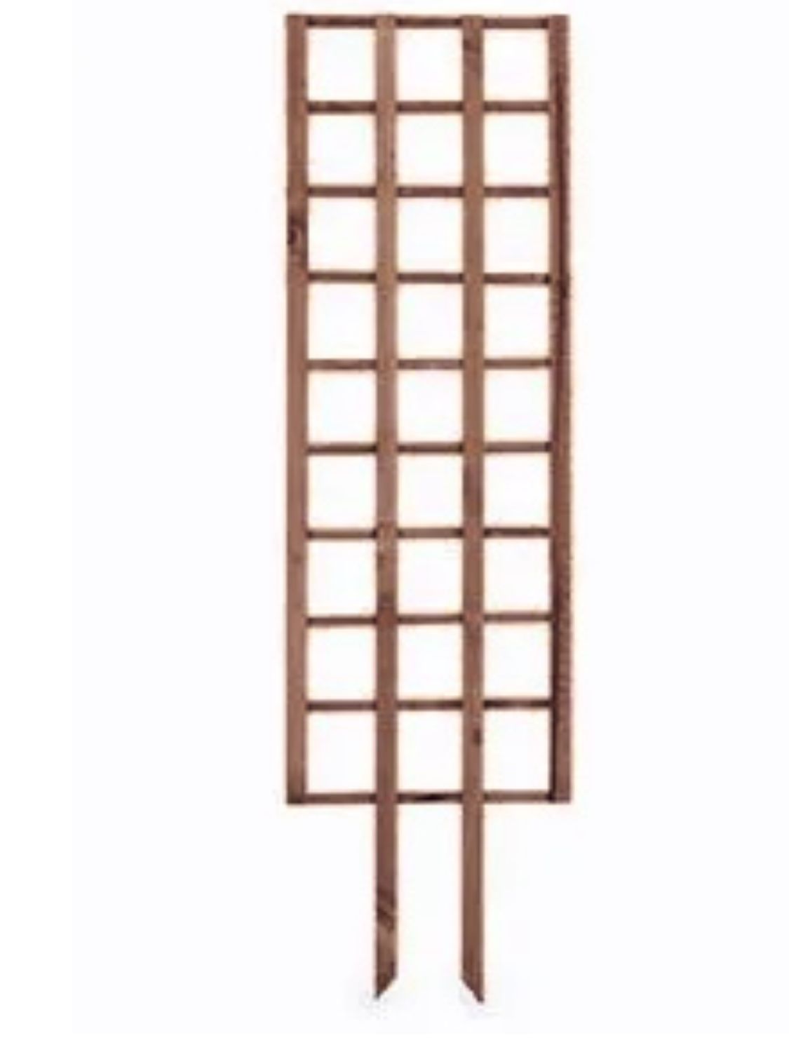 Self Staking Trellis L1500mmxW430