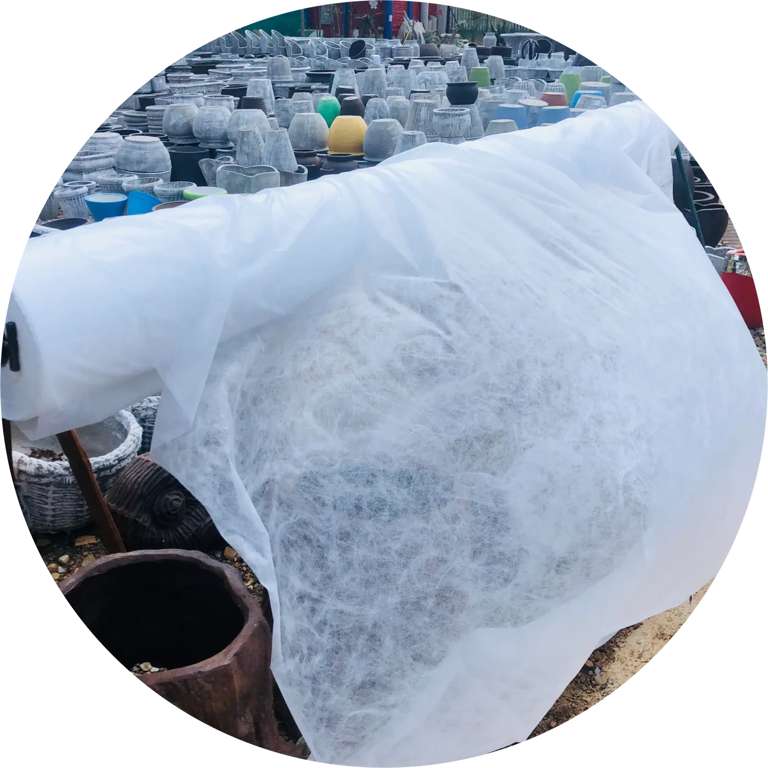 White UV Frost/Cropguard 3m x 1m per meter (Quantity) ordered.